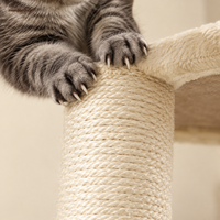 Arbre à chat 172 cm pour Maine Coon, multi-niveaux, ses poteaux en sisal
