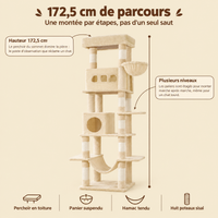 Arbre à chat 172 cm pour Maine Coon, multi-niveaux, sa hauteur et ses paliers