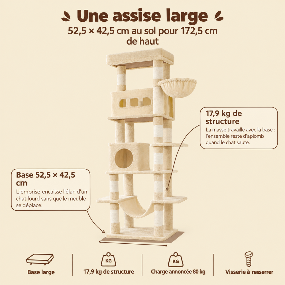 Arbre à chat 172 cm pour Maine Coon, multi-niveaux, son emprise au sol
