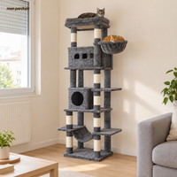 Arbre à chat 172 cm pour Maine Coon, multi-niveaux, dans un appartement français