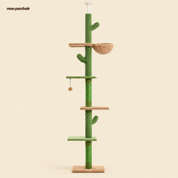 Arbre à chat cactus 5 niveaux, sol-plafond, vue d'ensemble