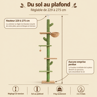 Arbre à chat cactus 5 niveaux, sol-plafond, sa hauteur réglable