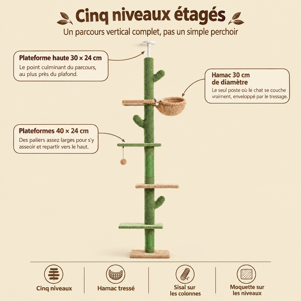 Arbre à chat cactus 5 niveaux, sol-plafond, ses niveaux