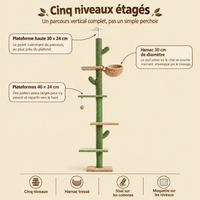 Arbre à chat cactus 5 niveaux, sol-plafond, ses niveaux