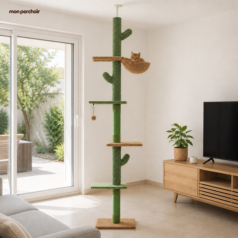 Arbre à chat cactus 5 niveaux, sol-plafond, dans une maison française