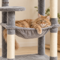 Arbre à chat Maine Coon 5 niveaux avec grand hamac, le grand hamac