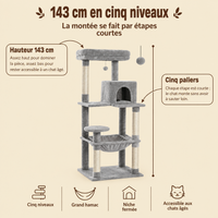 Arbre à chat Maine Coon 5 niveaux avec grand hamac, sa hauteur et ses paliers