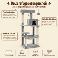 Arbre à chat Maine Coon 5 niveaux avec grand hamac, ses couchages