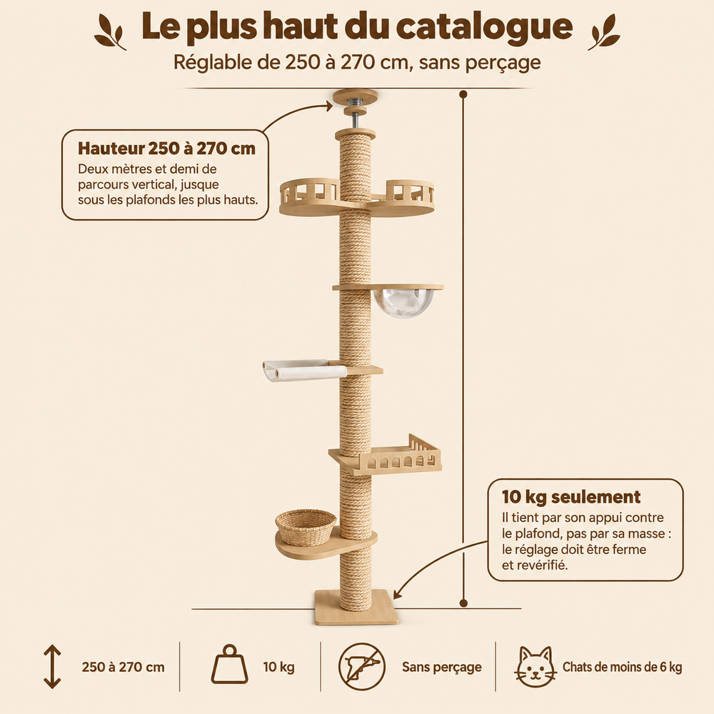 Arbre à chat sol-plafond 270 cm avec capsule transparente, sa hauteur et ses paliers