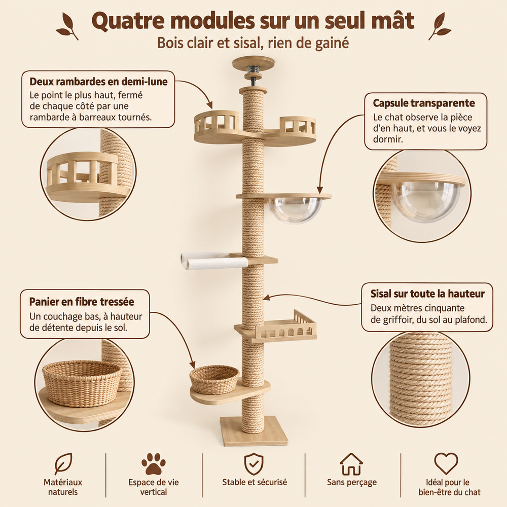 Arbre à chat sol-plafond 270 cm avec capsule transparente, ses quatre modules