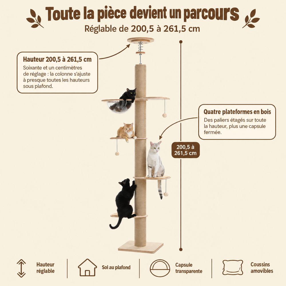 Arbre à chat sol-plafond en bois, hauteur réglable, sa hauteur réglable