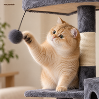 Arbre à chat XXL avec niche, jouet et poteaux sisal, son jouet suspendu