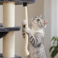 Arbre à chat XXL robuste pour Maine Coon, multi-niveaux, sa corde suspendue