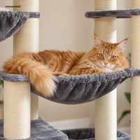 Arbre à chat XXL robuste pour Maine Coon, multi-niveaux, son hamac