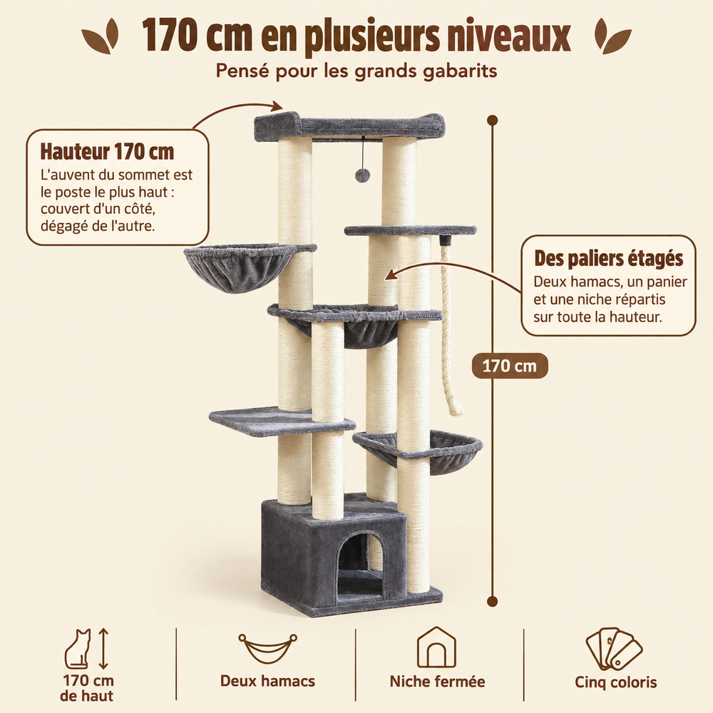 Arbre à chat XXL robuste pour Maine Coon, multi-niveaux, sa hauteur et ses paliers
