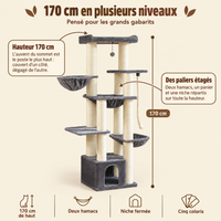 Arbre à chat XXL robuste pour Maine Coon, multi-niveaux, sa hauteur et ses paliers