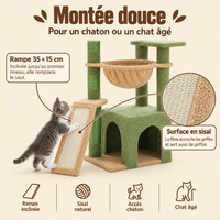 Petit arbre à chat avec grande niche et griffoirs, sa rampe d'accès pour chaton
